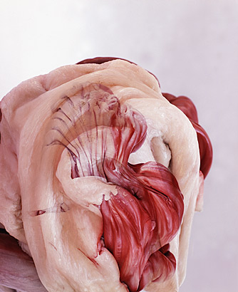 Anwesenheit des Unbestimmten