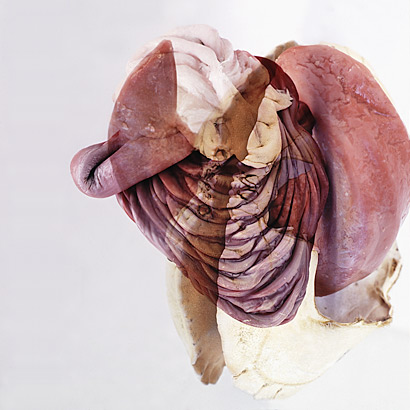 Anwesenheit des Unbestimmten