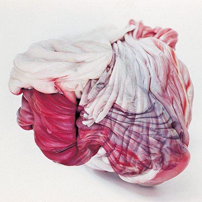 Plastische Häutungen