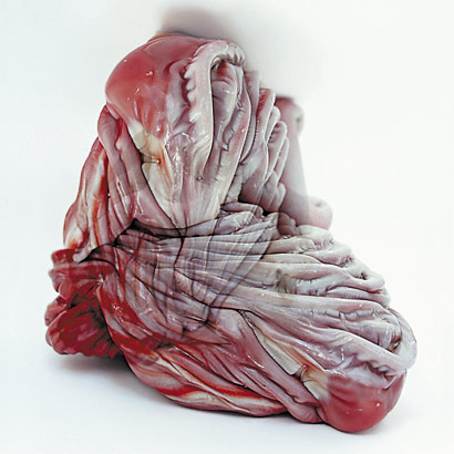 Plastische Häutungen