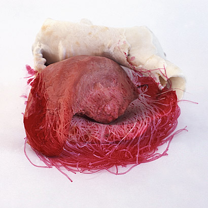 Kunstverein Friedrichshafen