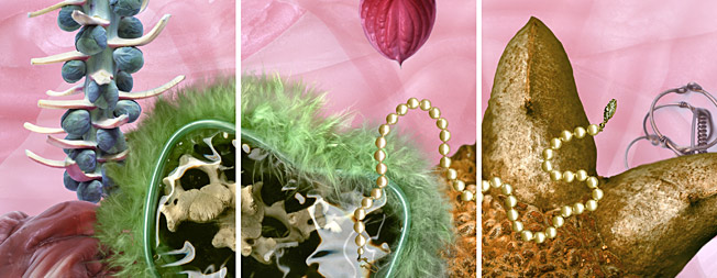 von zweierlei Herkunft